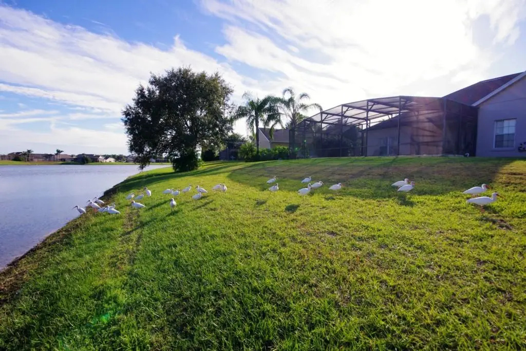 Lake Star Villa