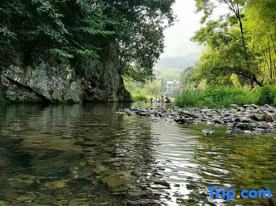 Jing County Qingzhilin Farmstay