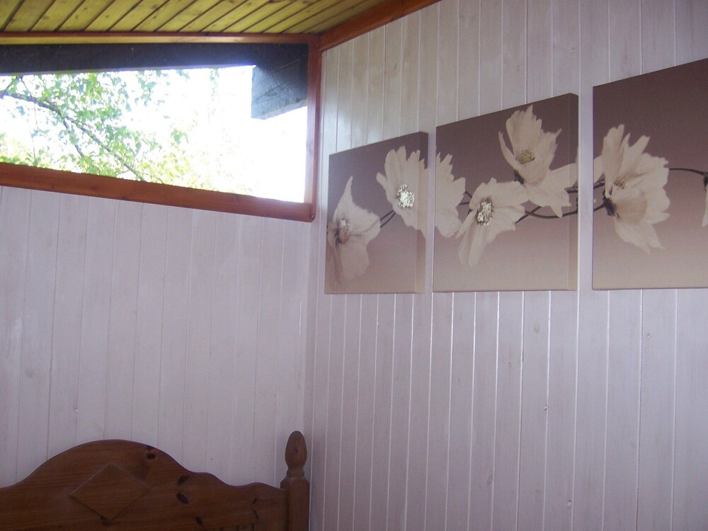 Honeysuckle Lodge set in a Beautiful 24 acre Woodland Holiday Park