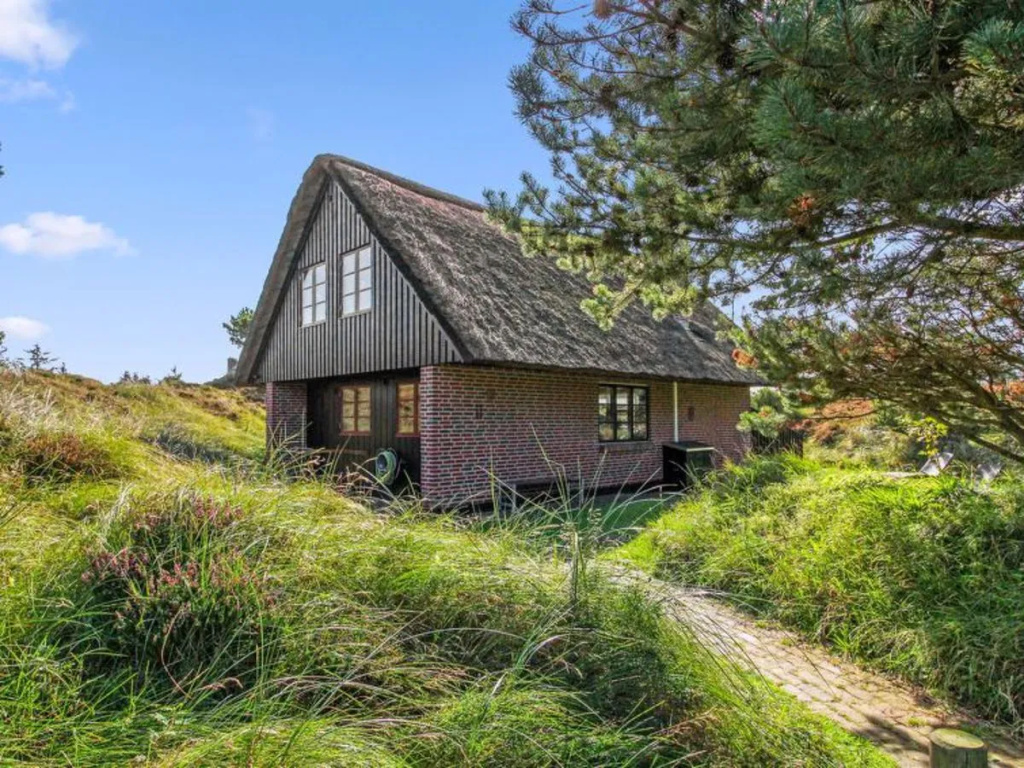 "Sochyeta" - 500m from the sea in Western Jutland