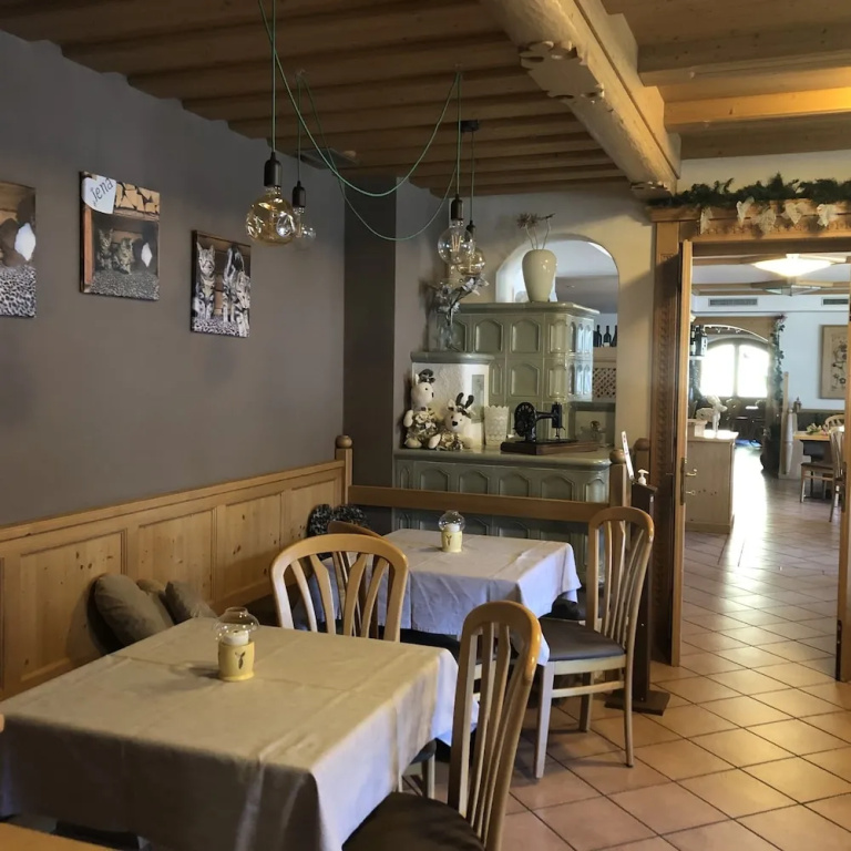 Alpine Touring Hotel-petfriendly