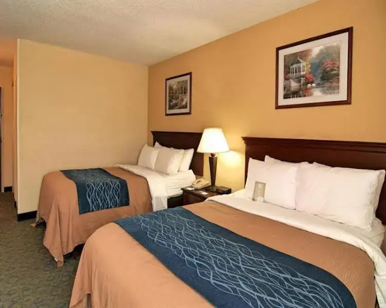 Comfort Inn