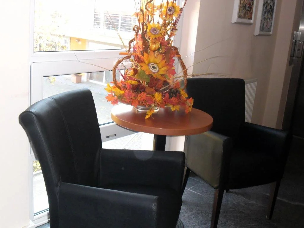 Hotel Arli