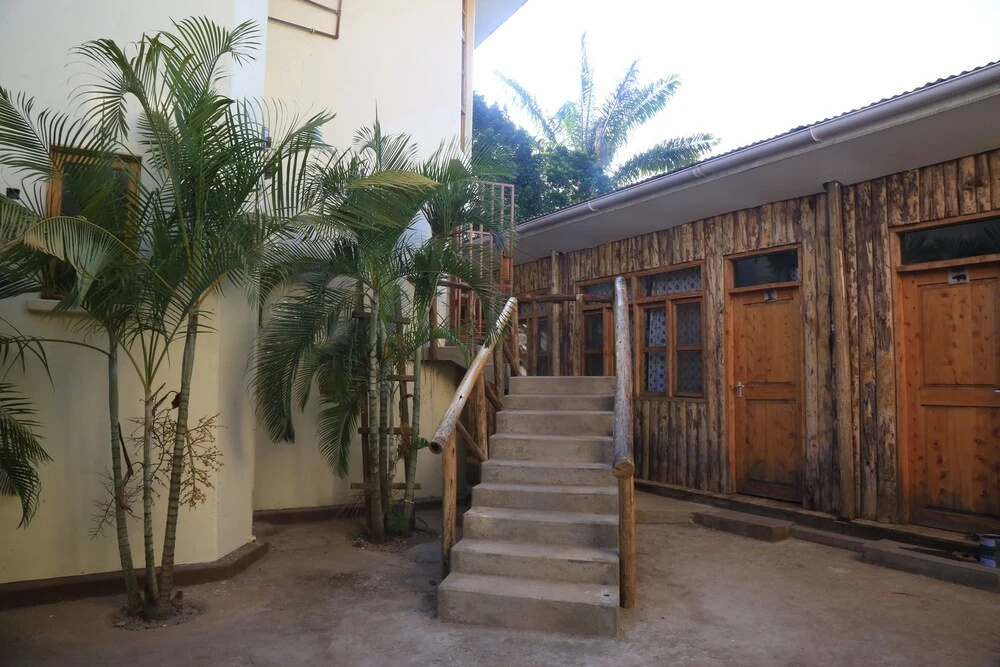 The Paradise In Backpackers