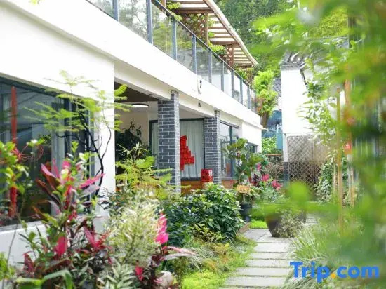 Under the Camphor Tree Guesthouse