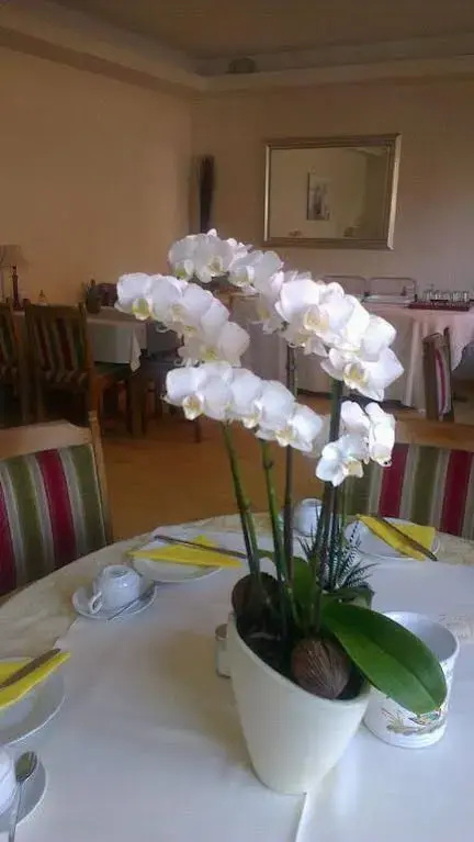 Hotel Refrather Hof