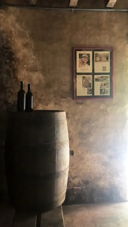 Quinta dos Paiva: horta natural e sossego