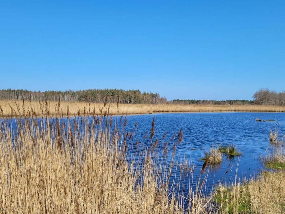 Hustadt in the Heart of Zingst