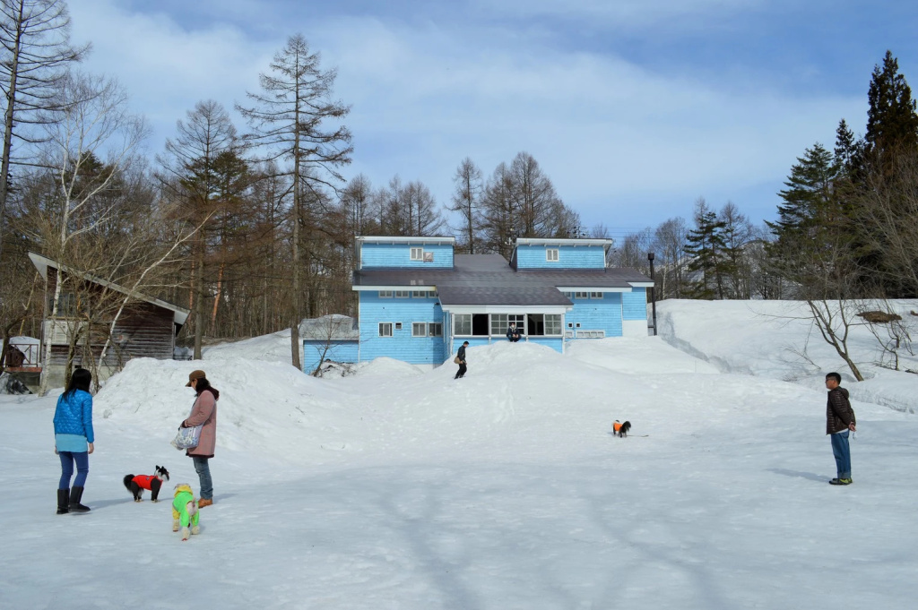 ありえすか alyeska
