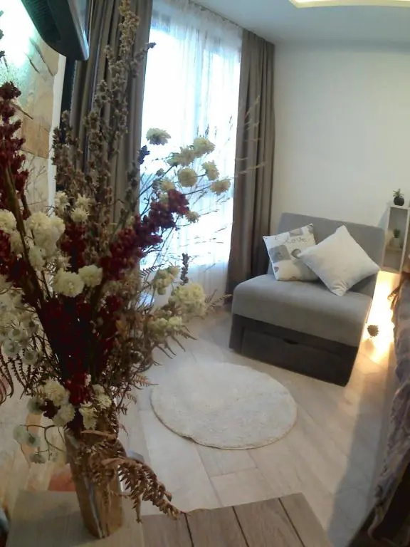 Studio MIPS S58 Milmari Resort Kopaonik