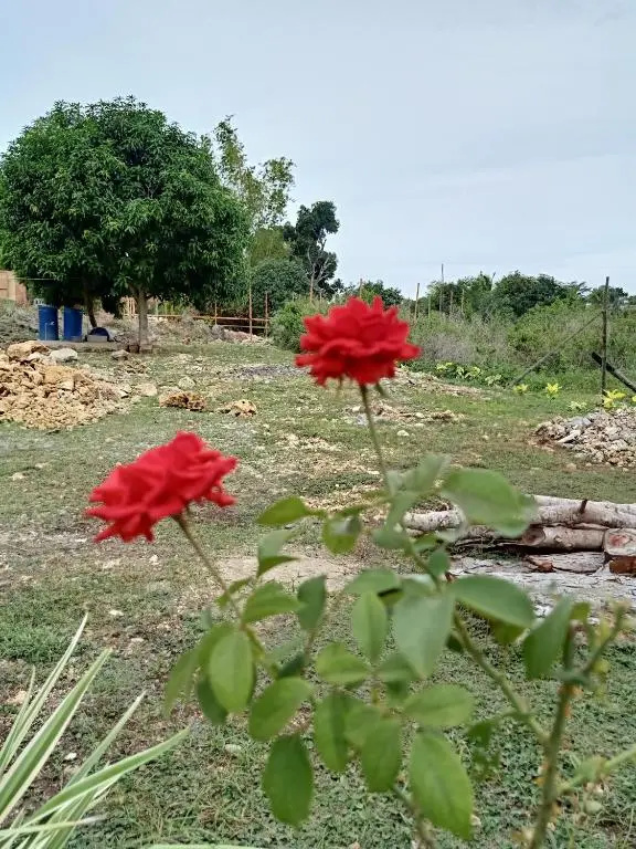 RMB GUEST HOUSE