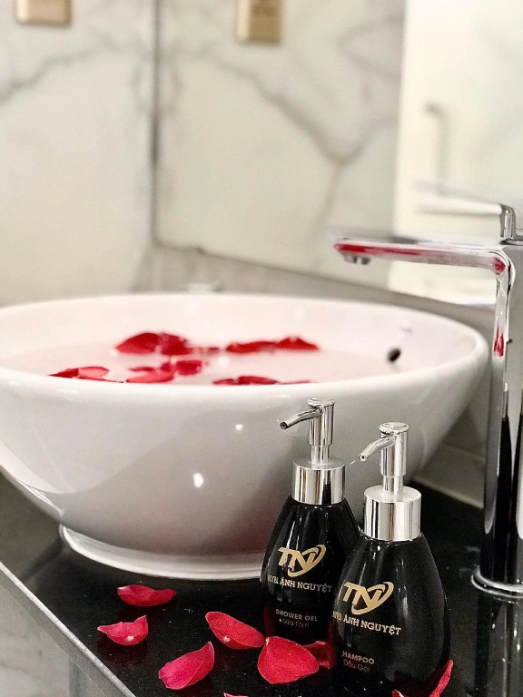 Anh Nguyet Da Nang Hotel