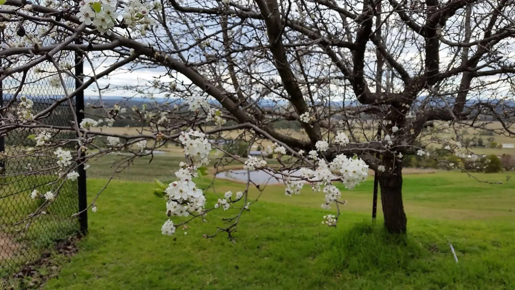 Sovereign Hill Country Lodge