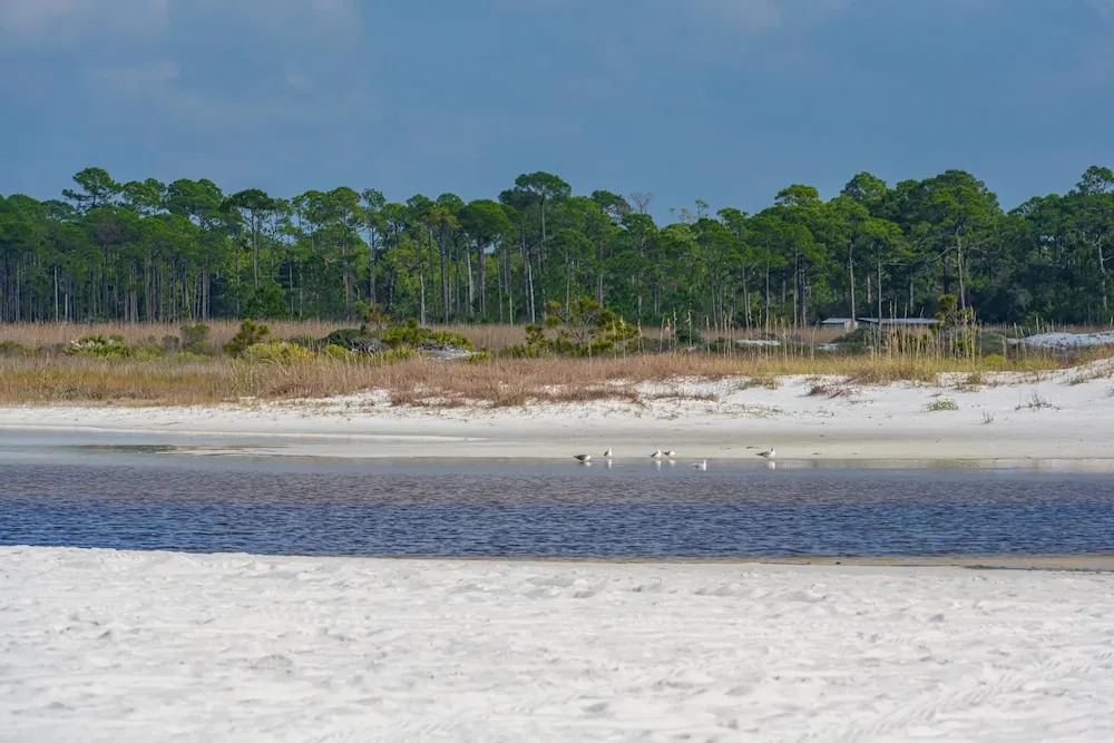 Incogbeacho - 505 Defuniak Street