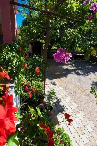 Apartments Žile