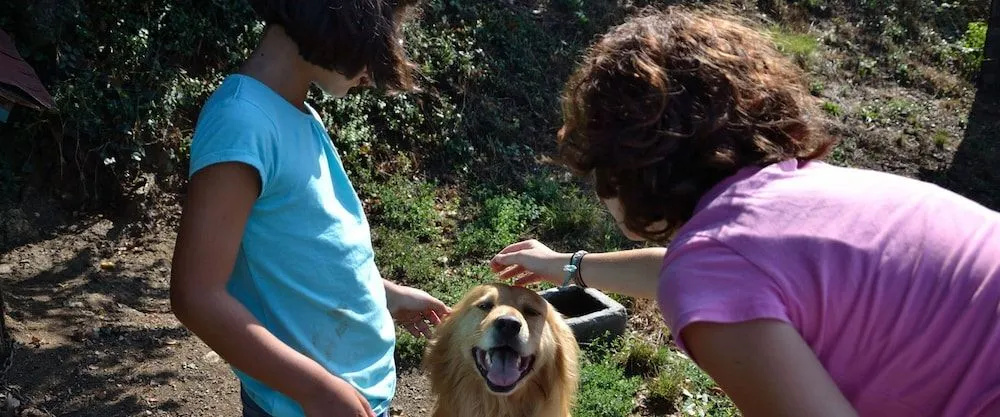 Fattoria Alvaneta
