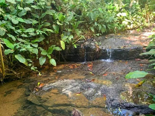 Private jungle “Loft del Rio” river access