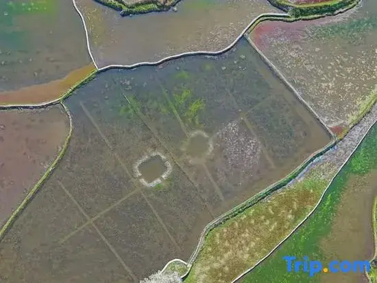 Yuanyang Azheke Colorful Terraced Fields Scenic Homestay (Sisutai)