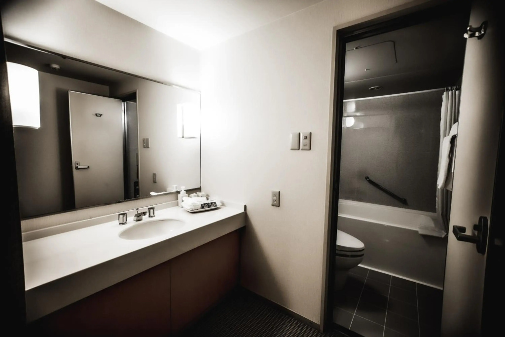 Oarks Canal Park Hotel Toyama