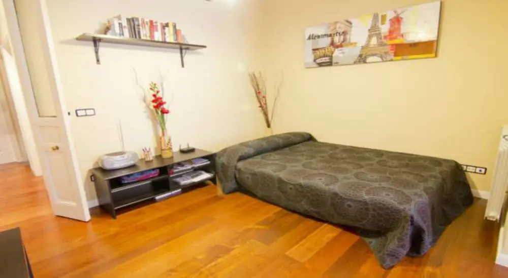 MC YOLO Apartamento Ronda Atocha