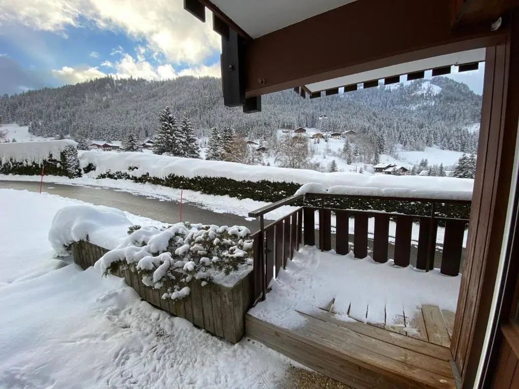 Studio La Clusaz, 1 pièce, 4 personnes - FR-1-459-184