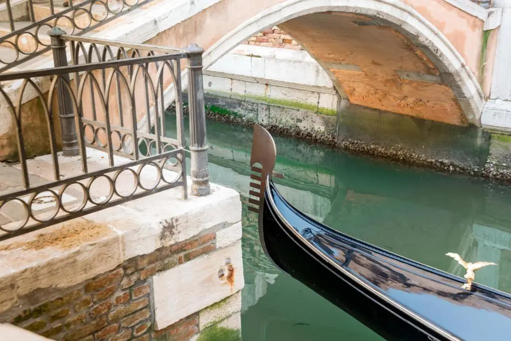 Venice in the house
