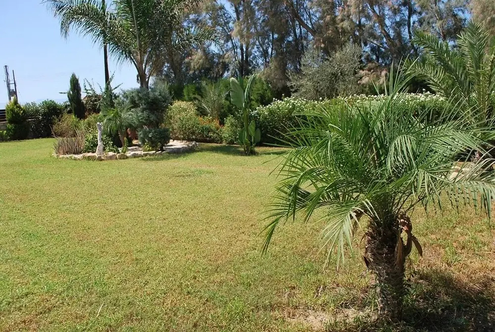 Marlin Beach Front Luxury Villa - 4 Bedrooms