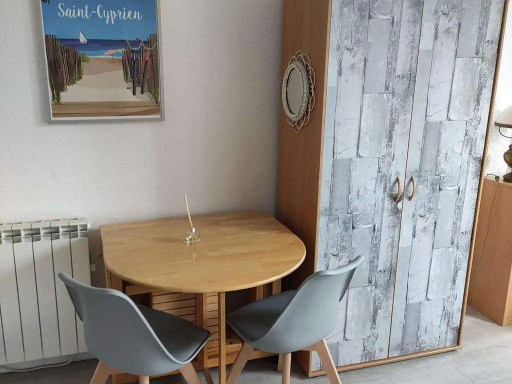 Appartement Saint-Cyprien, 1 pièce, 4 personnes - FR-1-225D-5