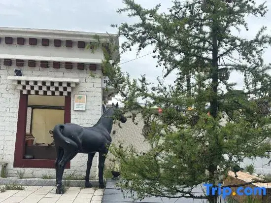 Hongyuan Qingfeng Yashe Homestay