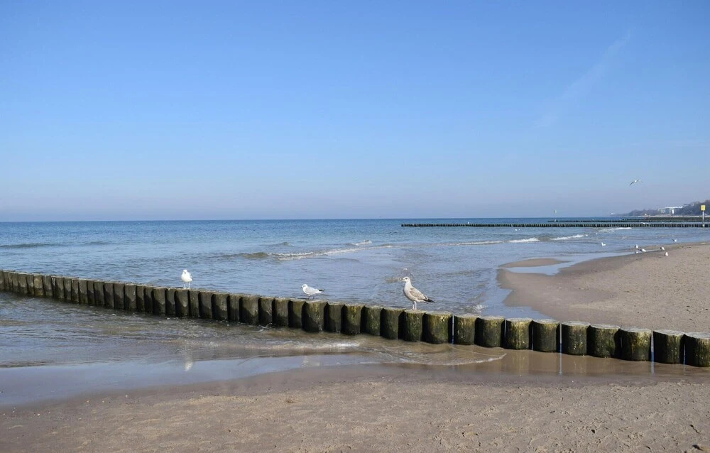 Beautiful Apartment in Gdansk With Wifi and 1 Bedrooms