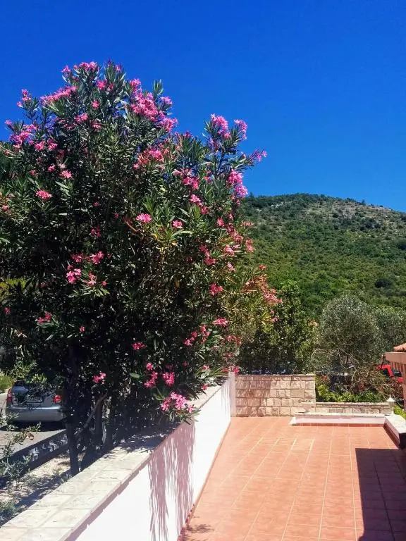 Apartments Anamaria