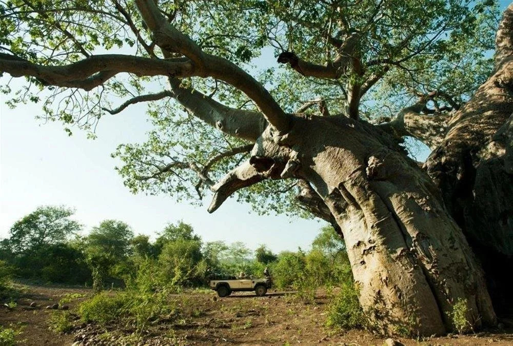 EcoTraining Makuleke Camp