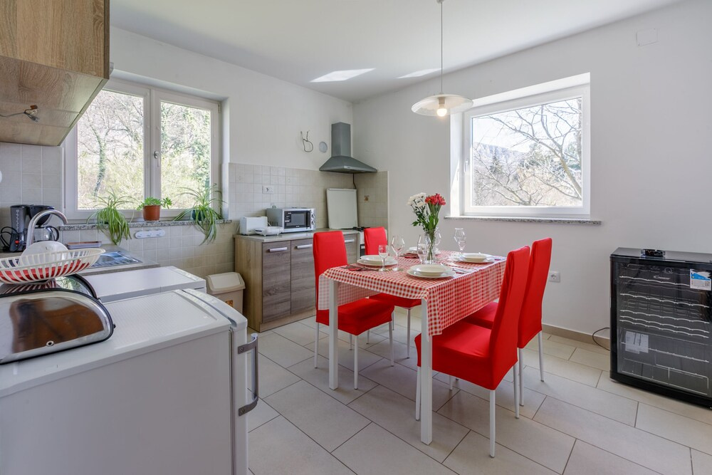 Apartment Nika