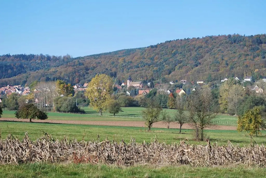 Chambres d'hôtes Les vignes