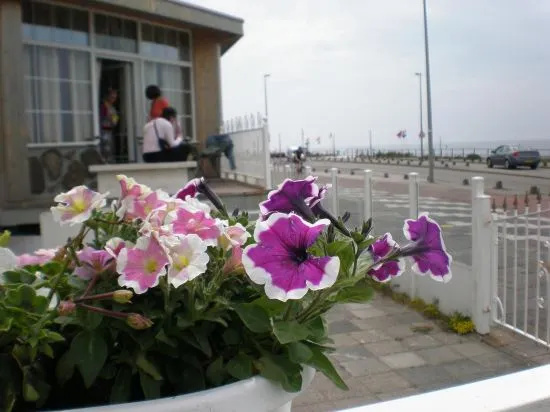 Top Location Studio