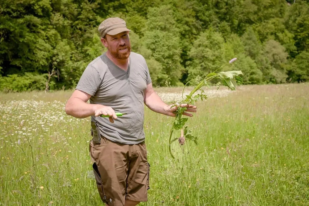 Nengshof Ferienwohnung Wildrose