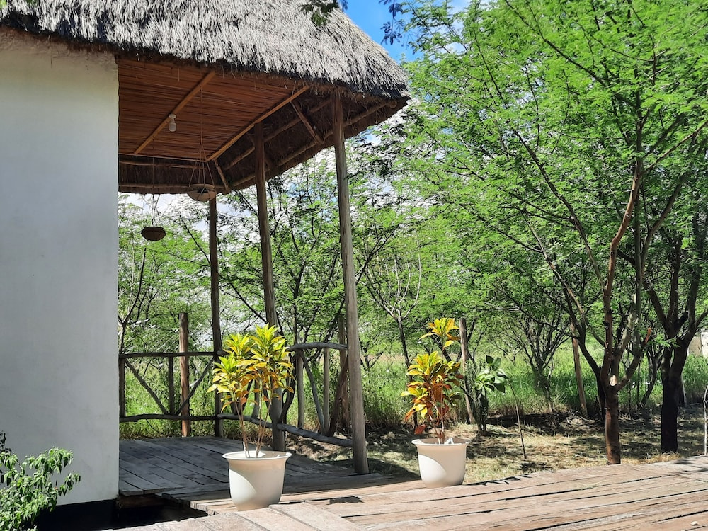 Real African Life safaris and Camps