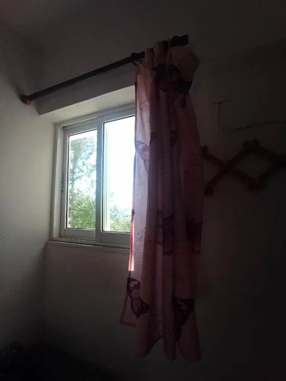 Selena Rooms