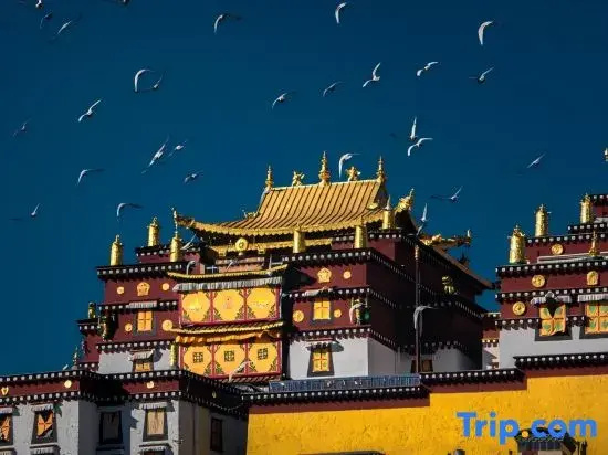 Jingyue·City View | CHILL LUXURIOUS INN Oxygen-Enhanced Heated Homestay (Dukezong Ancient Town)
