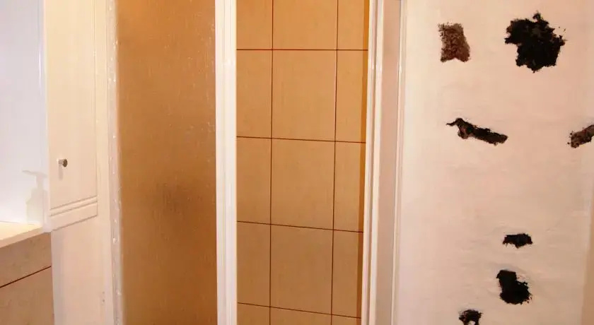 Adegadmidio