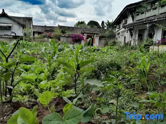Sanjiang Youjian Courtyard