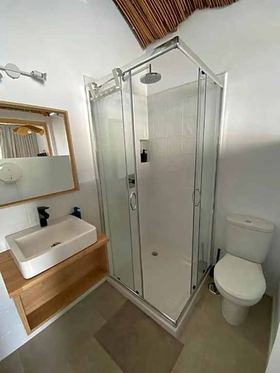 The Urban Jungle Hostel