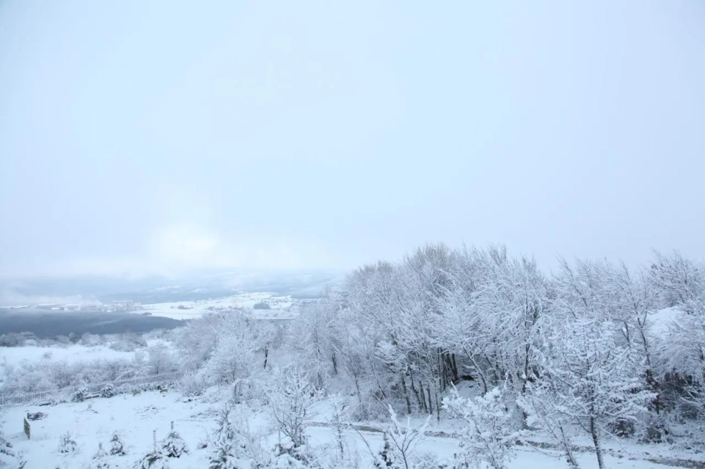 Yaban Yasam Chalets