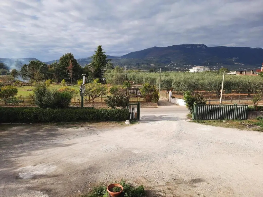 La Rosa dei Venti Apartments