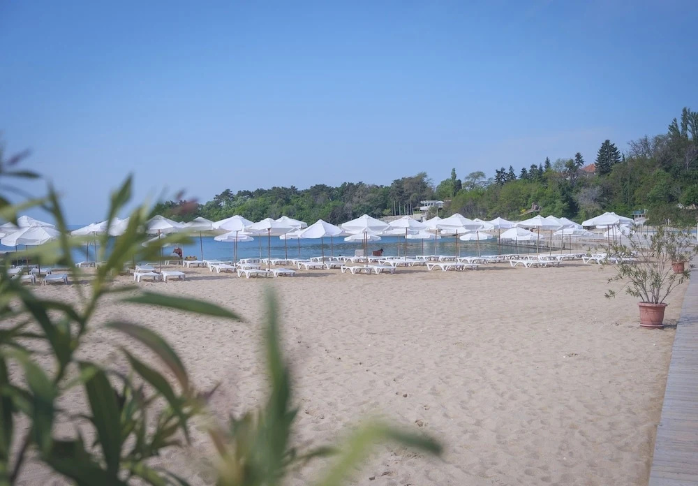 Hotel Lebed