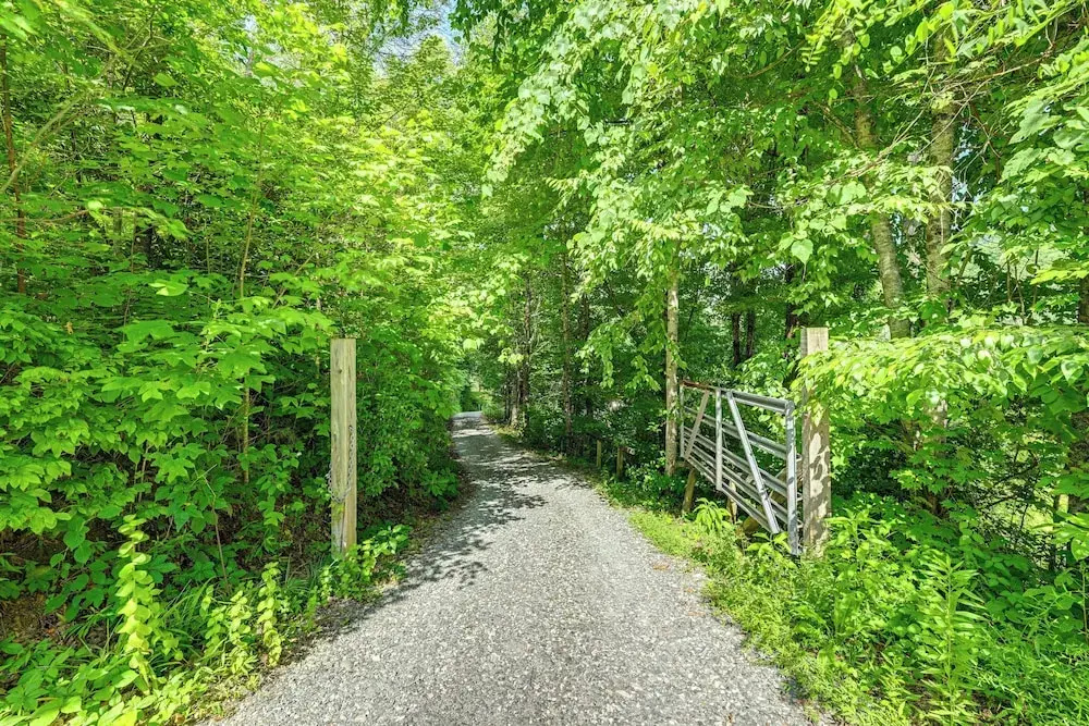 Affordable, Artsy, Unique! Blue Ridge Mtn-view Gem