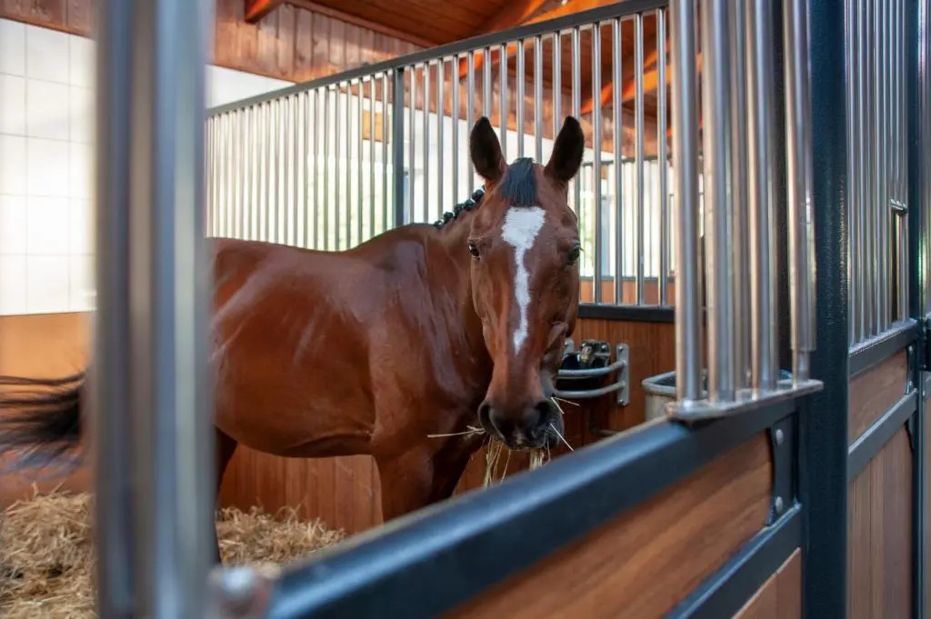 Hubertus Aparthotel & Restaurant & Horse Club