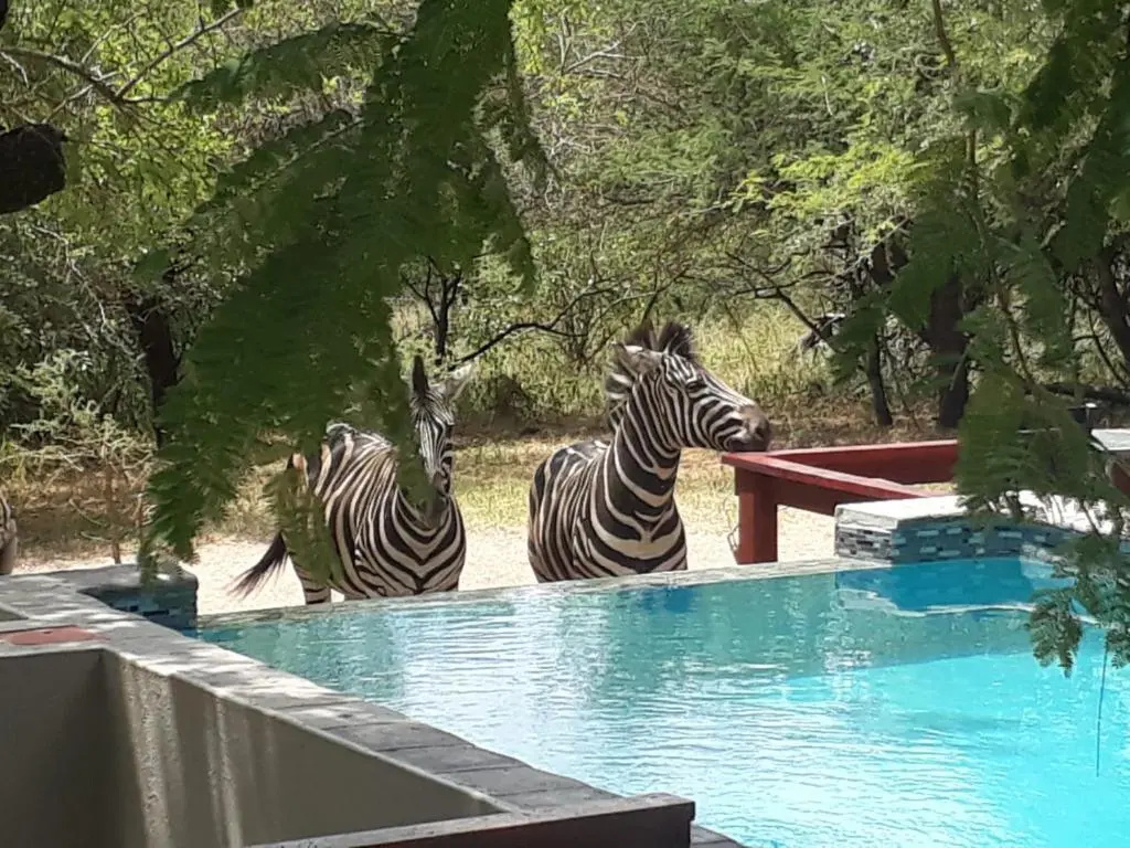 Turaco Lodge - No Loadshedding