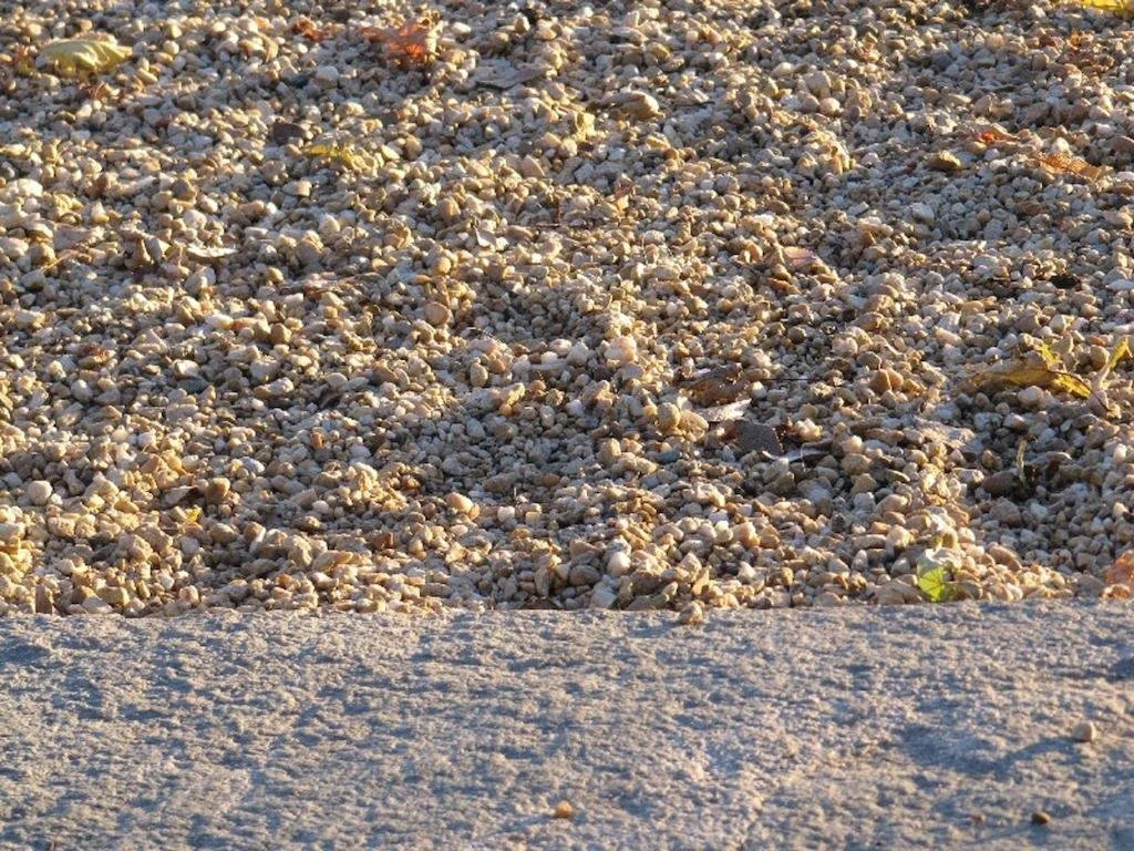Vigna Il Merlo