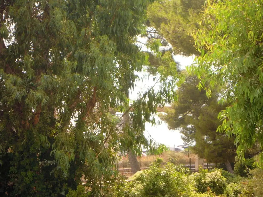 Apartment With 2 Bedrooms in Cannes, With Wonderful sea View, Furnishe